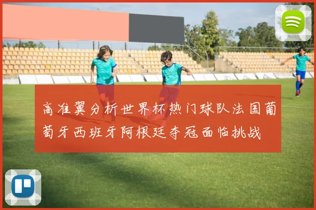 高准翼分析世界杯热门球队法国葡萄牙西班牙阿根廷夺冠面临挑战